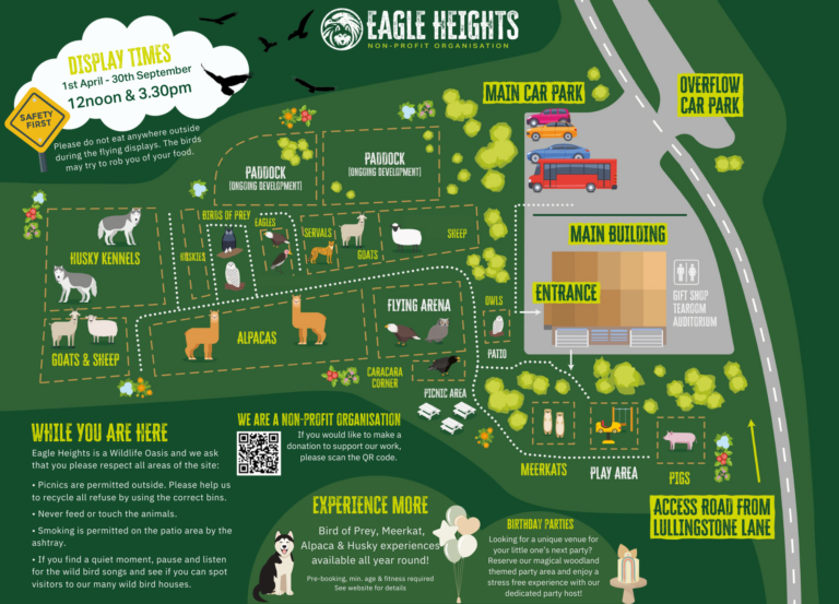 Illustrated site map of Eagle Heights showing paddocks, meerkats, car parks and flying-display times