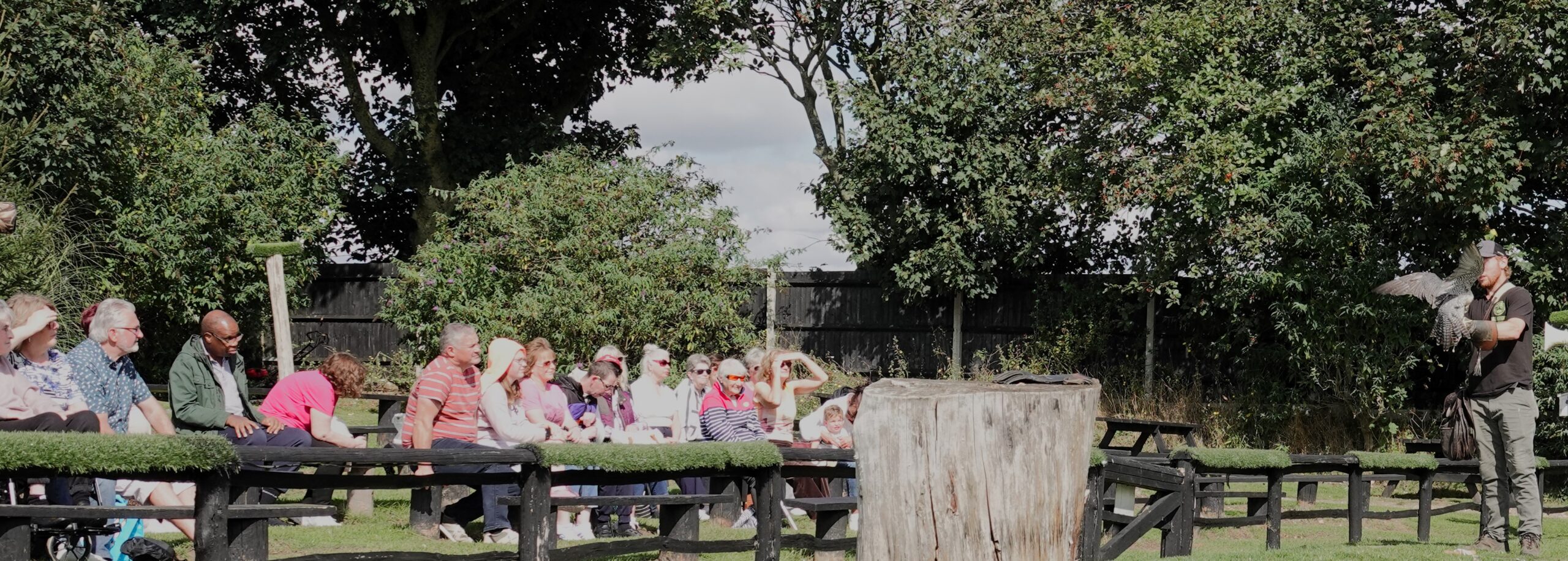 Visitors seated on the flying-display benches watching a display