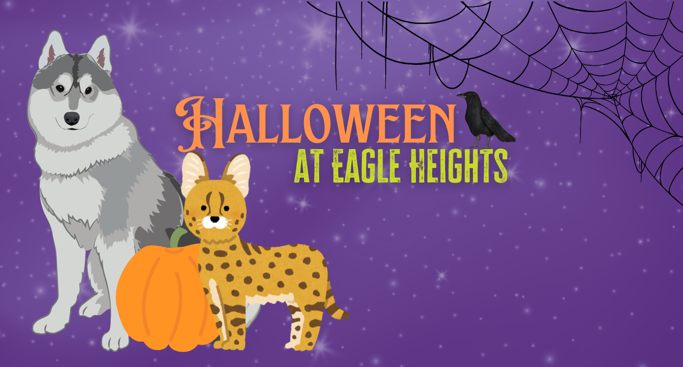Spooky Fun Awaits: Eagle Heights Halloween Trail is Back! 🎃