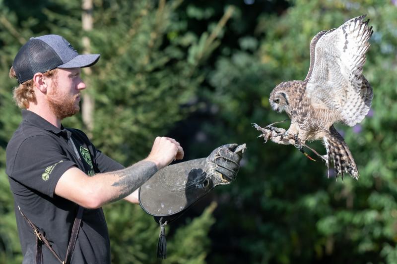 Owl Experience For 2 Signature Gift Box