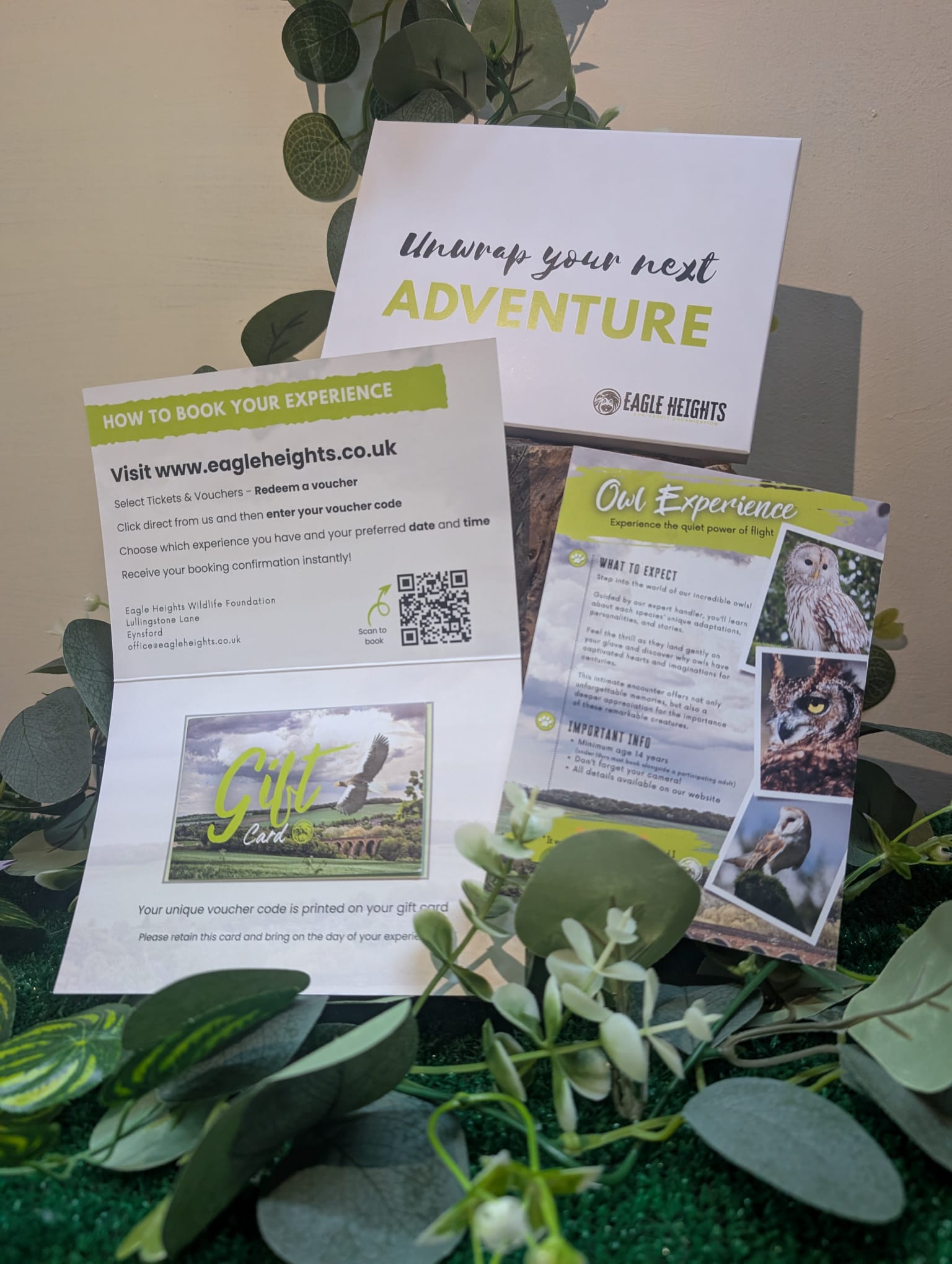 Owl Experience For 2 Signature Gift Box