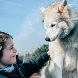 Meet the Huskies For 2 Signature Gift Box