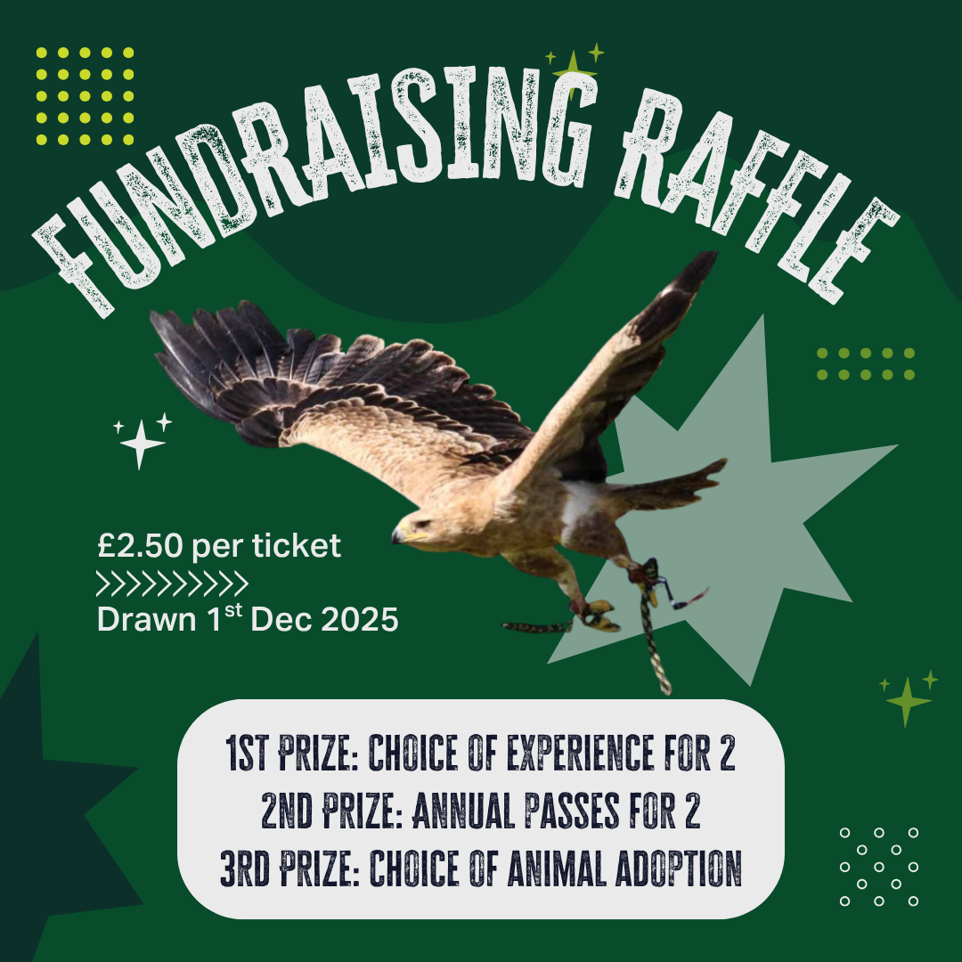 Eagle Heights Fundraising Raffle: Support Our Animals While Our Doors Are Closed