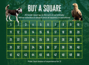 Buy a Square – Wildlife Experience Lottery Ticket
