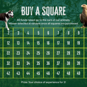 Buy a Square – Wildlife Experience Lottery Ticket