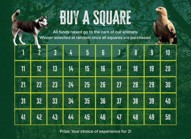 Buy a Square – Wildlife Experience Lottery Ticket